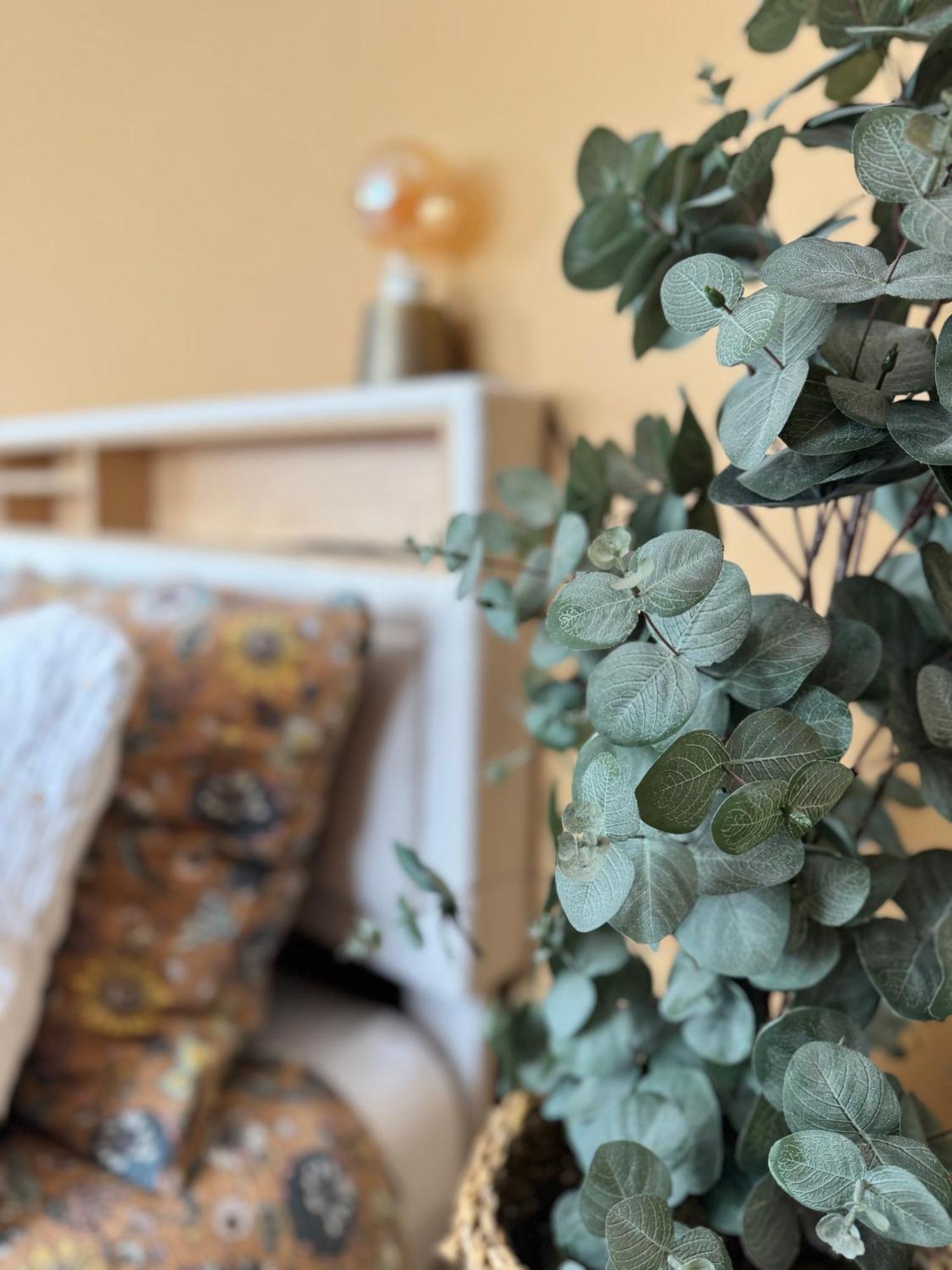 Studio La Petite Oasis- Ideal Couple - Calme - Balcon Sud - Lumineux - 10Min Du Centre & Plage - Proche Centre Juno Beach - Wifi Courseulles-sur-Mer Exteriör bild